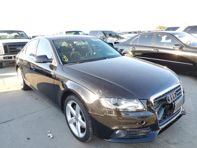 AUDI A4 PREMIUM 2010 wauffaflxan061888