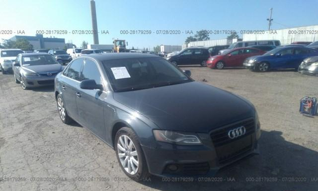 AUDI A4 2010 wauffaflxan064757