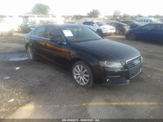 AUDI A4 2010 wauffaflxan068131