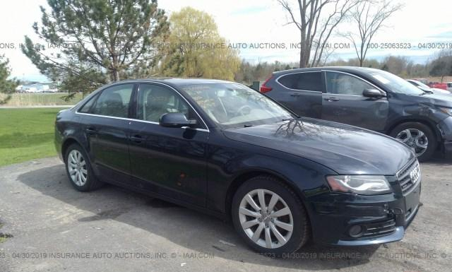 AUDI A4 2011 wauffaflxbn012370