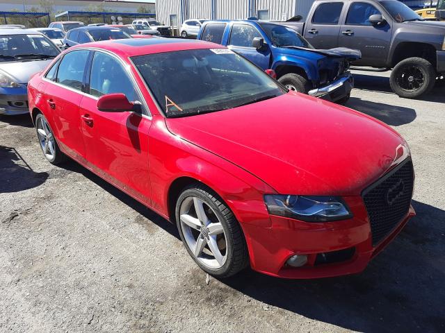 AUDI A4 PREMIUM 2011 wauffaflxbn019738