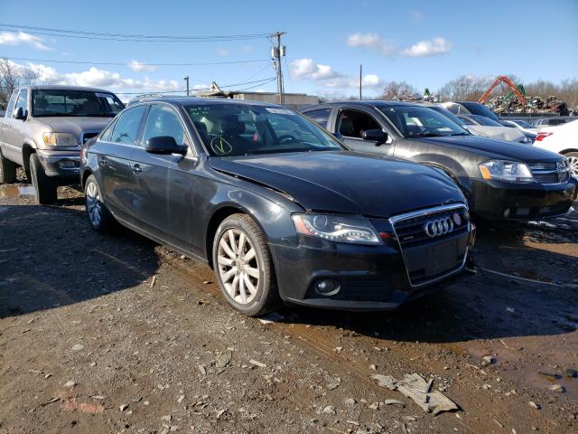 AUDI A4 PREMIUM 2011 wauffaflxbn029332