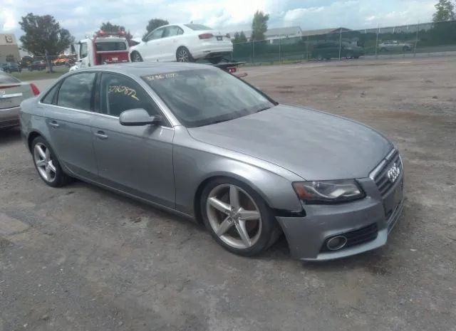 AUDI A4 2011 wauffaflxbn031078