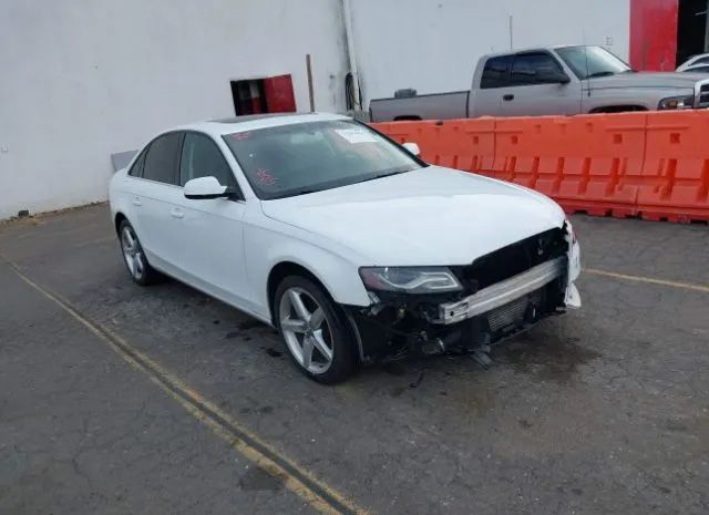 AUDI A4 2011 wauffaflxbn034689