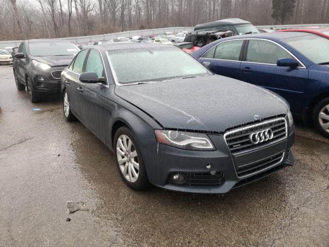 AUDI A4 PREMIUM 2011 wauffaflxbn034904