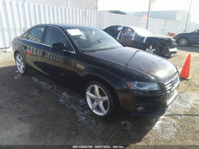 AUDI A4 2011 wauffaflxbn045028