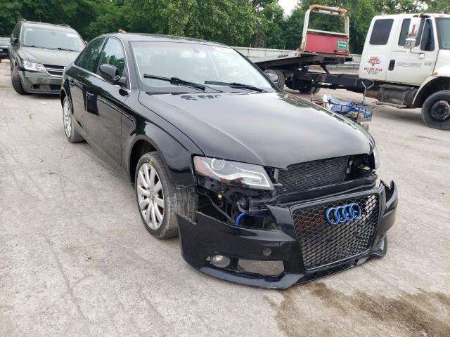 AUDI A4 PREMIUM 2011 wauffaflxbn049323