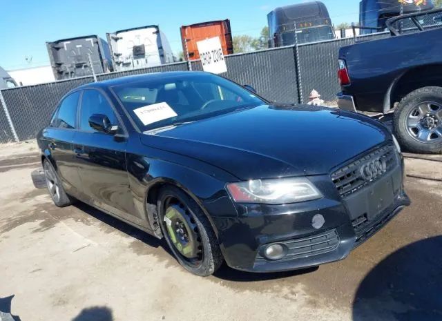 AUDI A4 2011 wauffaflxbn052657