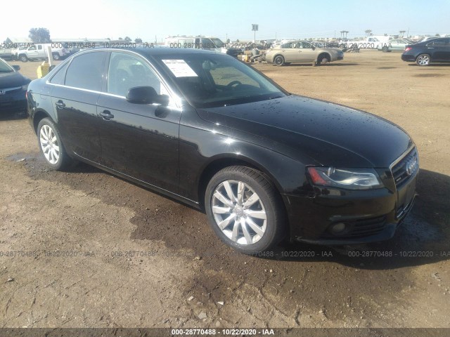 AUDI A4 2011 wauffaflxbn056837