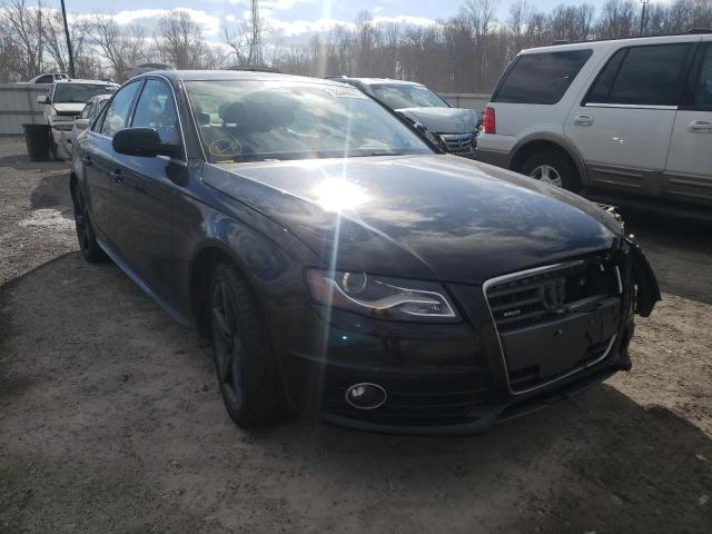 AUDI A4 PREMIUM 2012 wauffaflxcn014816