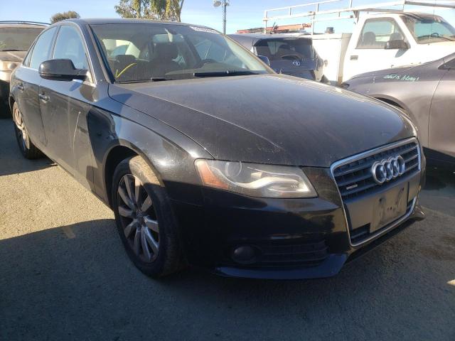 AUDI A4 PREMIUM 2010 wauffbfl4an032800