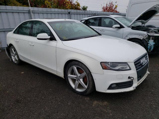 AUDI A4 PREMIUM 2010 wauffcfl0an018799