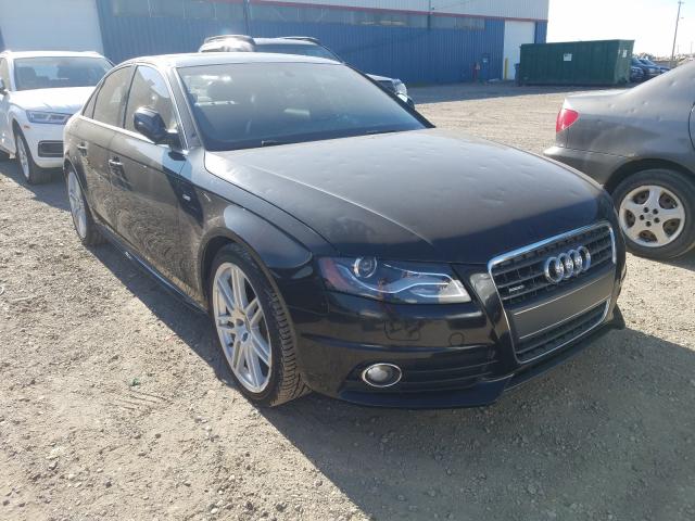 AUDI A4 PREMIUM 2012 wauffcfl0cn014884