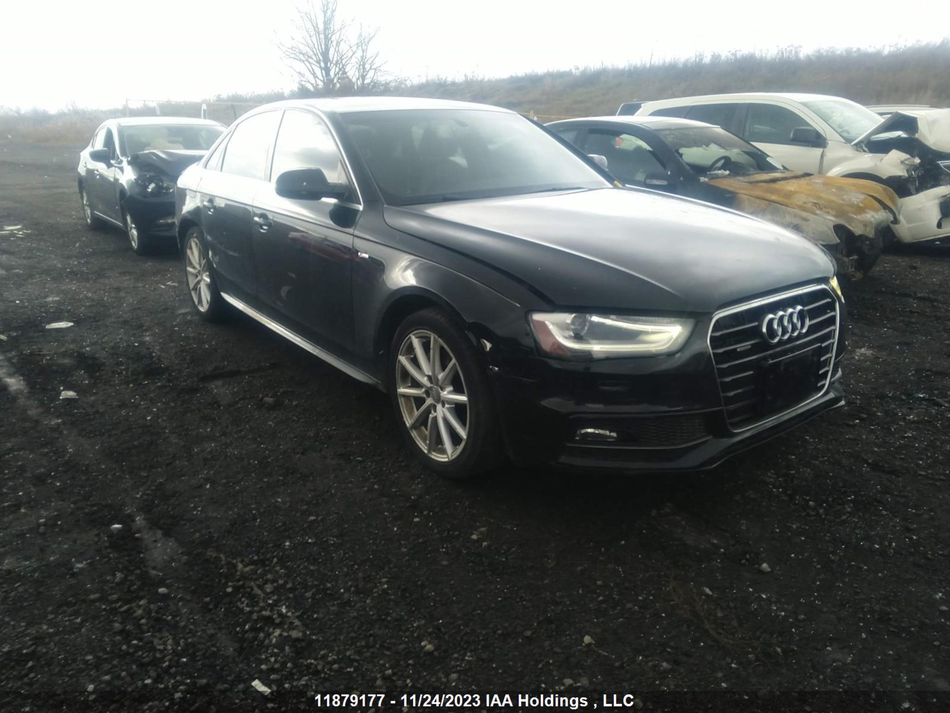 AUDI A4 2015 wauffcfl0fn046058