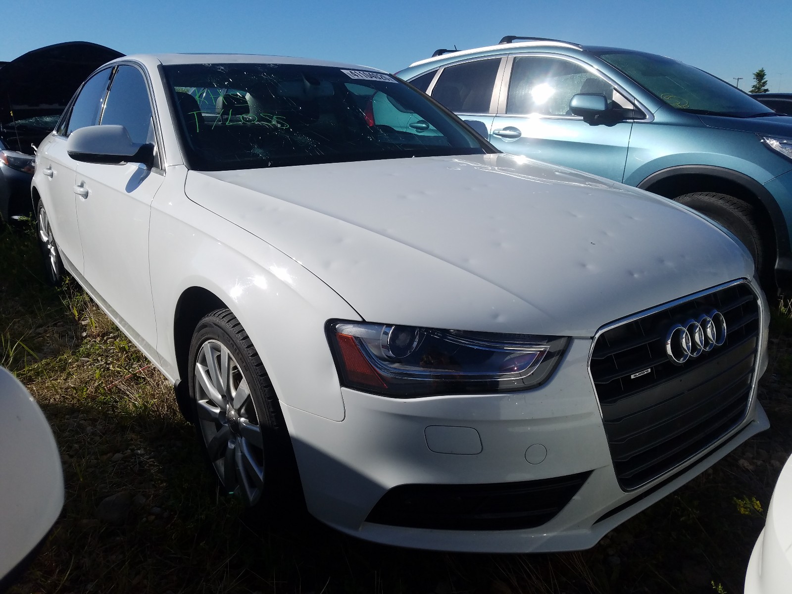 AUDI A4 PREMIUM 2014 wauffcfl2en035299