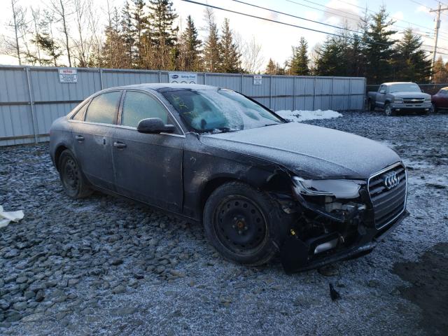 AUDI A4 PREMIUM 2013 wauffcfl3dn008966