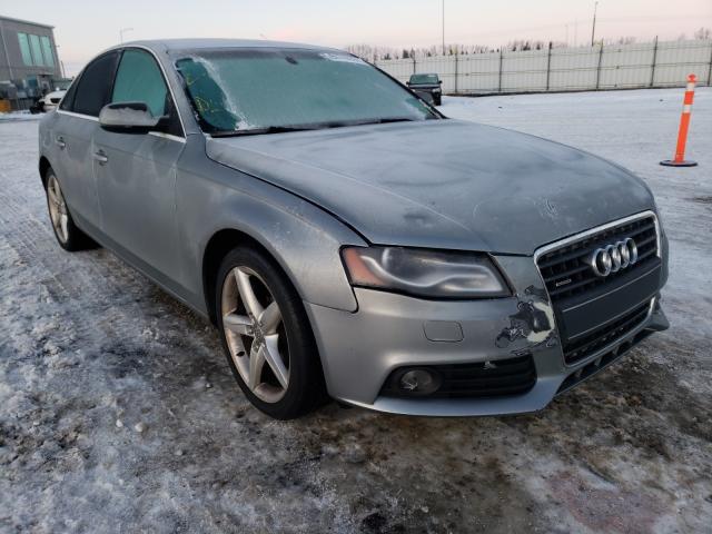 AUDI A4 PREMIUM 2010 wauffcfl4an052289