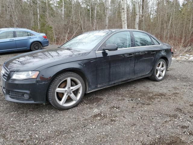 AUDI A4 2011 wauffcfl4bn033307