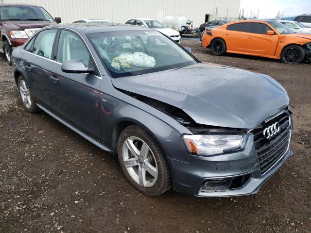 AUDI A4 PREMIUM 2015 wauffcfl4fn027254