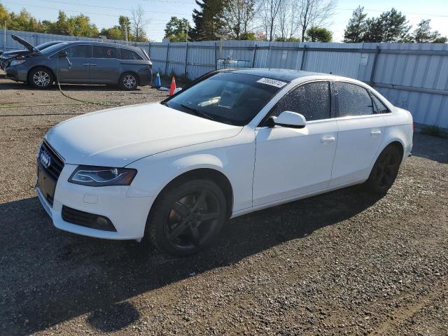 AUDI A4 PREMIUM 2010 wauffcfl5an066668