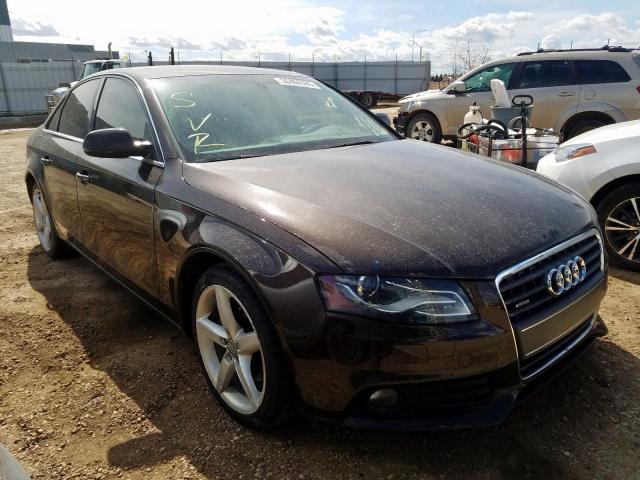 AUDI A4 PREMIUM 2011 wauffcfl5bn040444