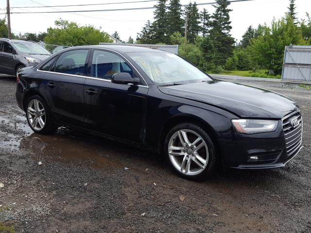 AUDI A4 PREMIUM 2013 wauffcfl5dn049552