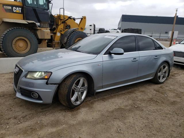 AUDI A4 PREMIUM 2010 wauffcfl6an041794