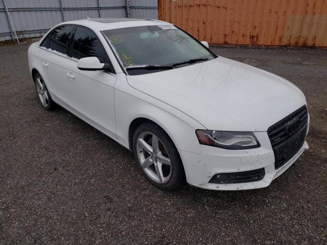 AUDI A4 PREMIUM 2011 wauffcfl7bn020714