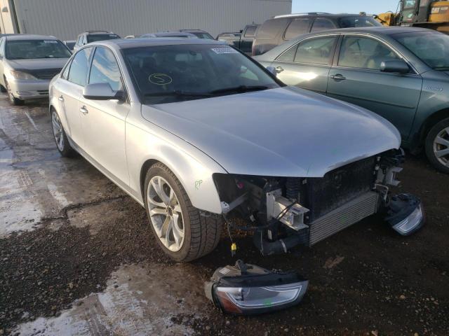 AUDI A4 PREMIUM 2013 wauffcfl7dn002846