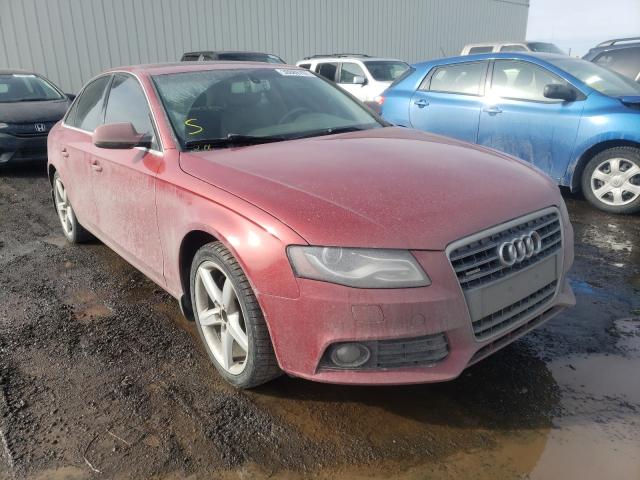 AUDI A4 PREMIUM 2010 wauffcfl8an005282