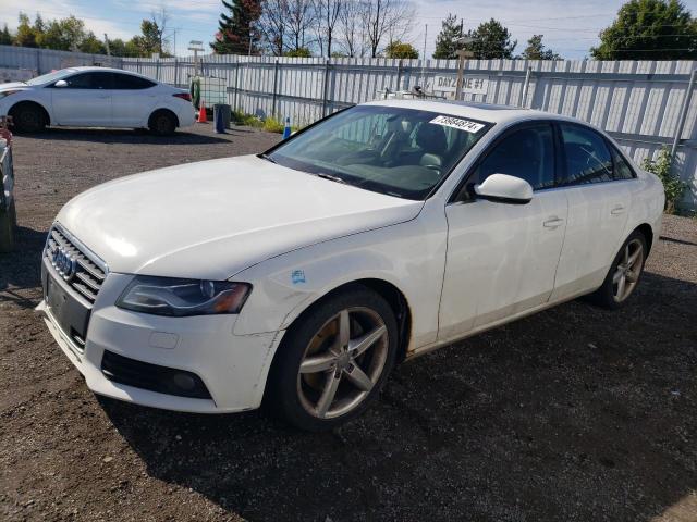 AUDI A4 PREMIUM 2010 wauffcfl8an009266