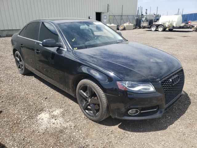 AUDI A4 PREMIUM 2010 wauffcfl8an061805