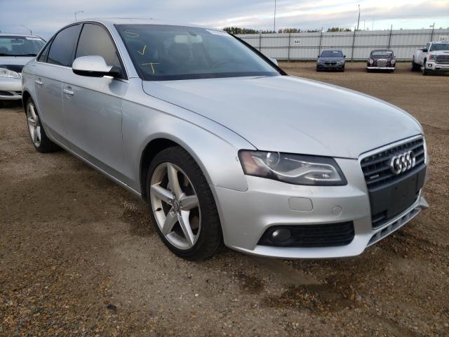 AUDI A4 PREMIUM 2011 wauffcfl8bn034640