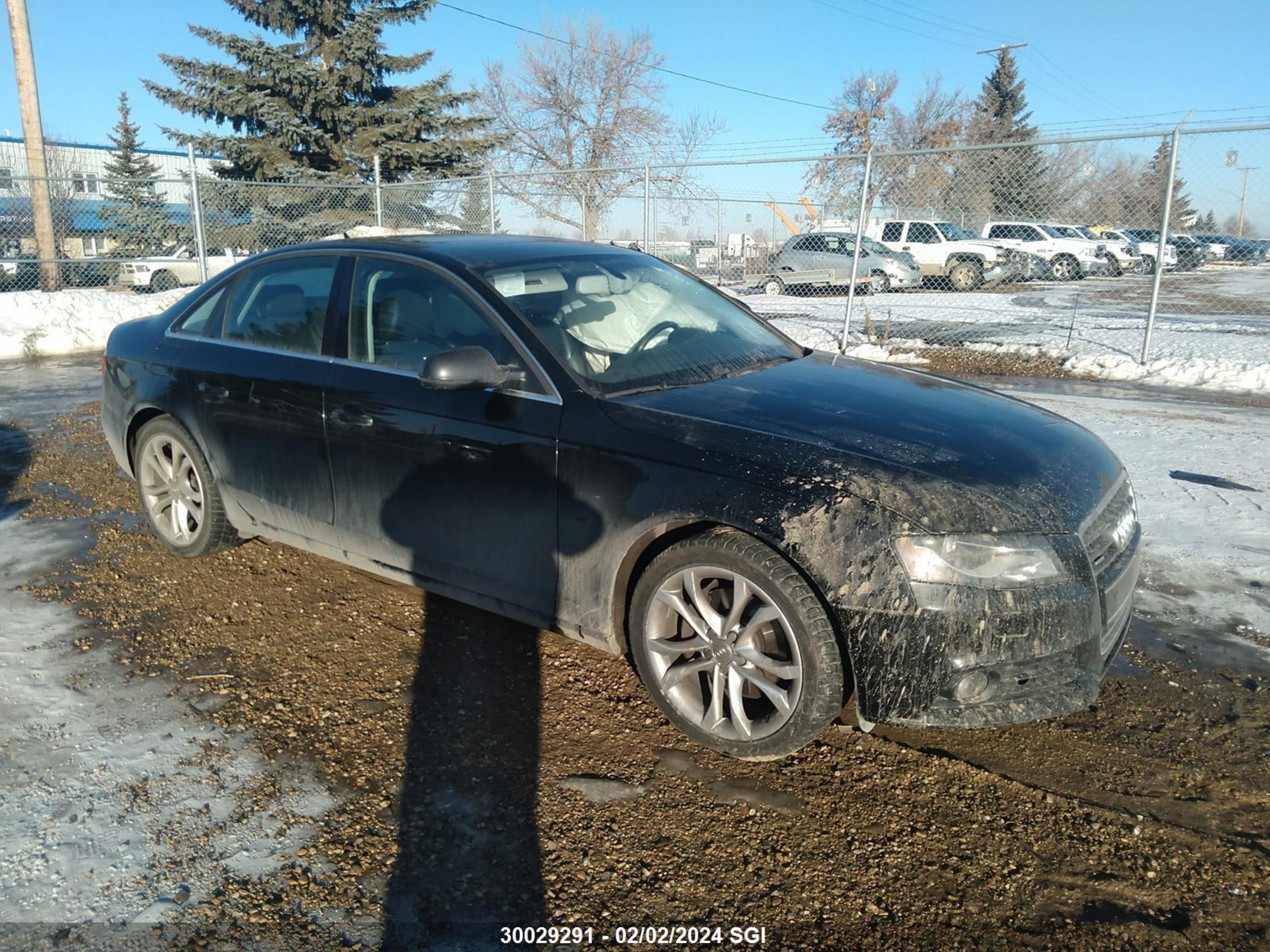 AUDI A4 2010 wauffcfl9an002732