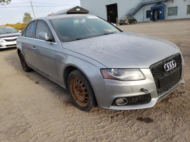 AUDI A4 PREMIUM 2010 wauffcfl9an010622