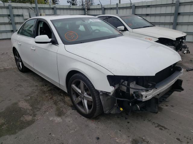 AUDI A4 PREMIUM 2010 wauffcflxan023458