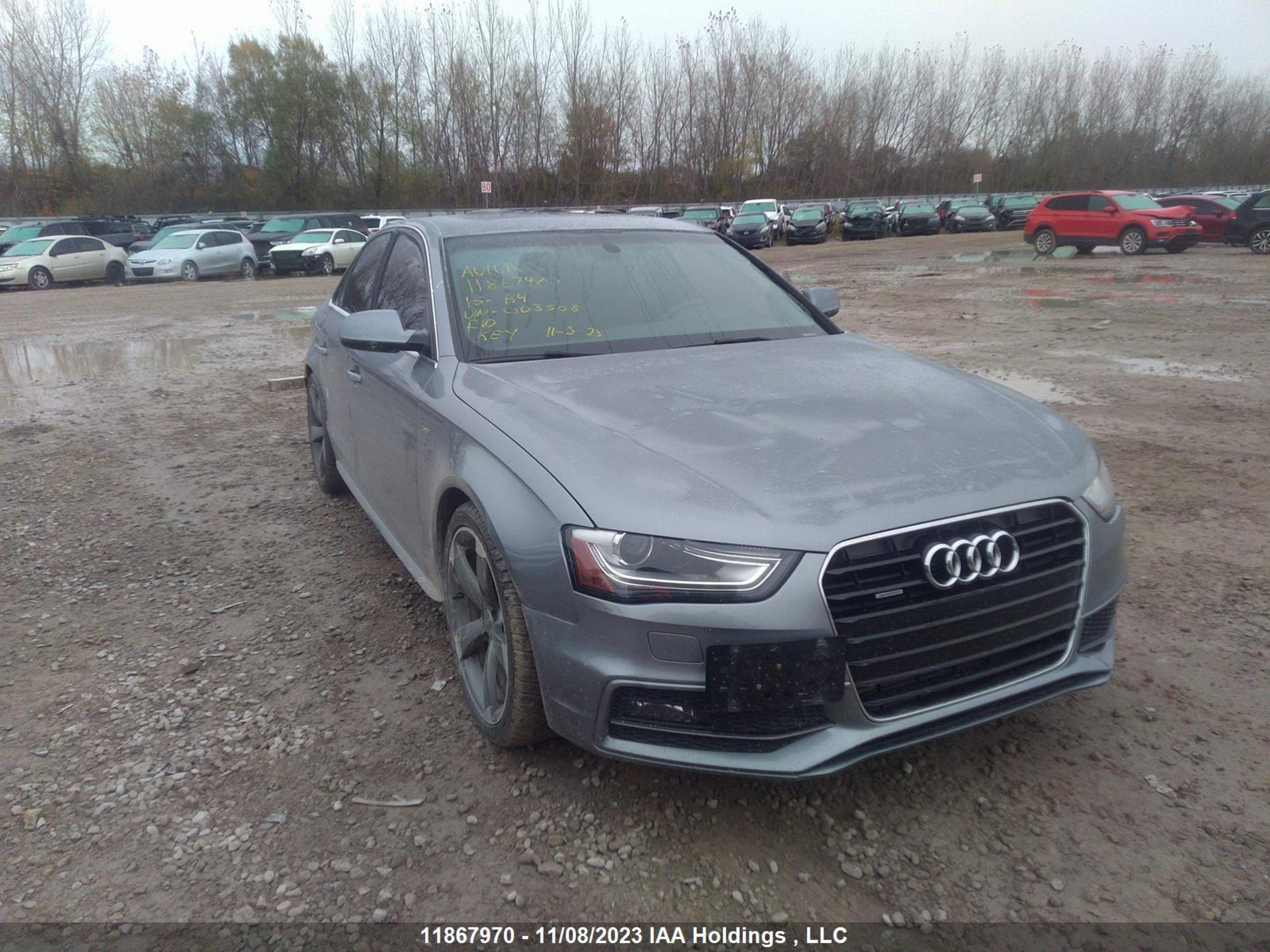 AUDI A4 2015 wauffcflxfn003508