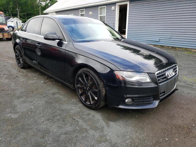 AUDI A4 PREMIUM 2010 wauhfafl0an068650