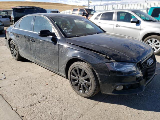 AUDI A4 PREMIUM 2010 wauhfafl1an041859