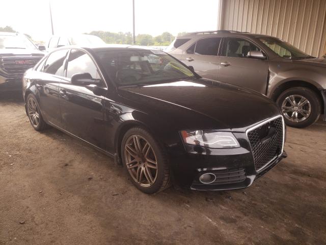 AUDI A4 PREMIUM 2010 wauhfafl2an008790