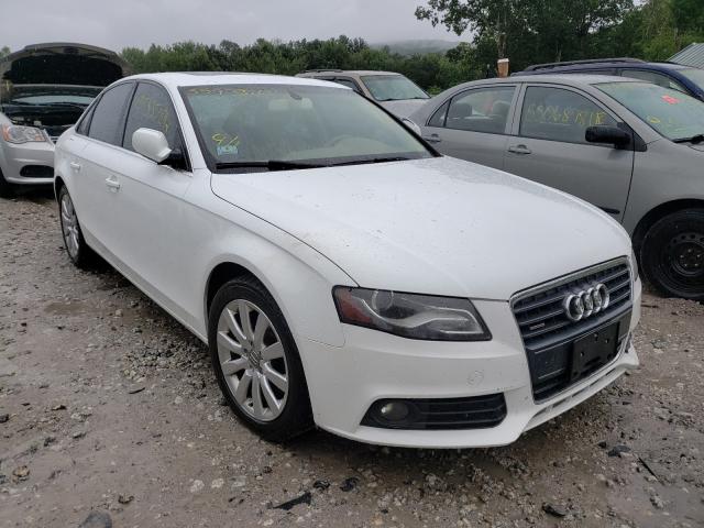 AUDI A4 PREMIUM 2010 wauhfafl2an028957