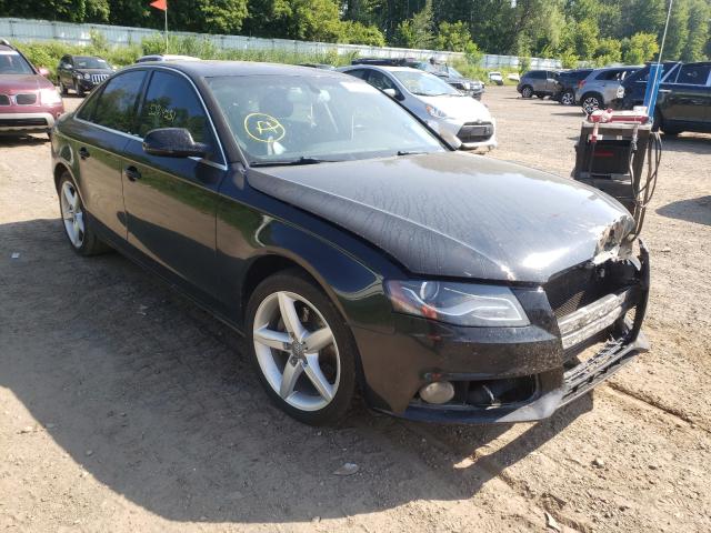 AUDI A4 PREMIUM 2011 wauhfafl2bn035182