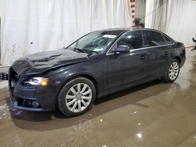 AUDI A4 PREMIUM 2010 wauhfafl4an028586