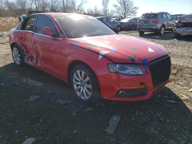 AUDI A4 PREMIUM 2010 wauhfafl6an022899