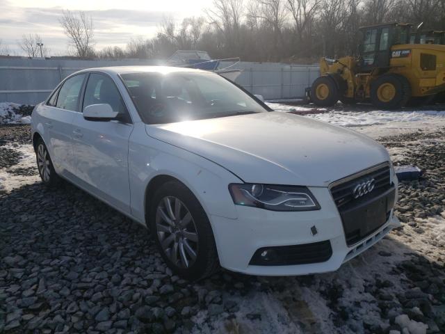 AUDI A4 PREMIUM 2010 wauhfafl7an006100