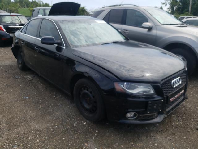 AUDI A4 PREMIUM 2010 wauhfafl7an009515