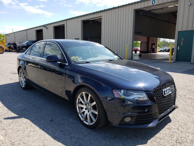 AUDI A4 PREMIUM 2010 wauhfafl8an014254