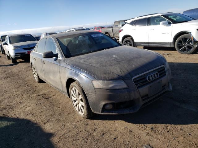 AUDI A4 PREMIUM 2011 wauhfafl9bn048866