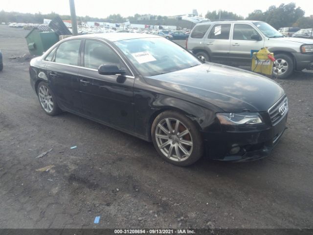 AUDI A4 2010 wauhfaflxan008794