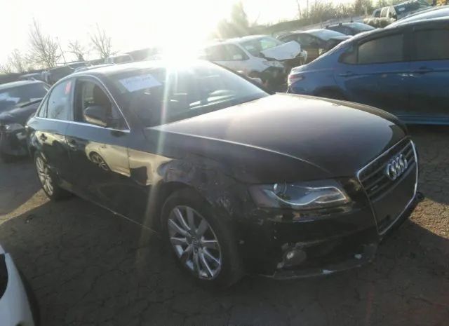 AUDI A4 2010 wauhfaflxan024297